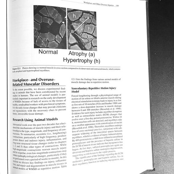 Skeletal Muscle Damage and Repair | Edited by Peter M. Tiidus - Picture 8 of 8